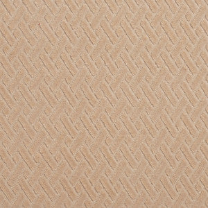 10420-08 by Charlotte Fabric
