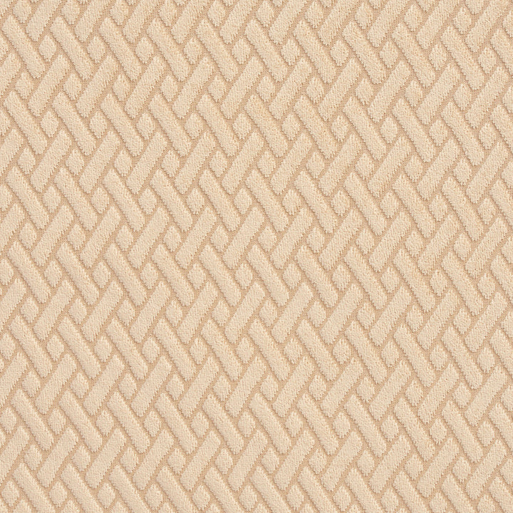 10420-10 by Charlotte Fabric Gemstones II 100% Woven Polyester Velvet Asia Exceeds 125,000 Wyzenbeek Rubs (Heavy Duty) Horizontal: .75" x Vertical: 1" 54 Inches - Fabric Carolina -