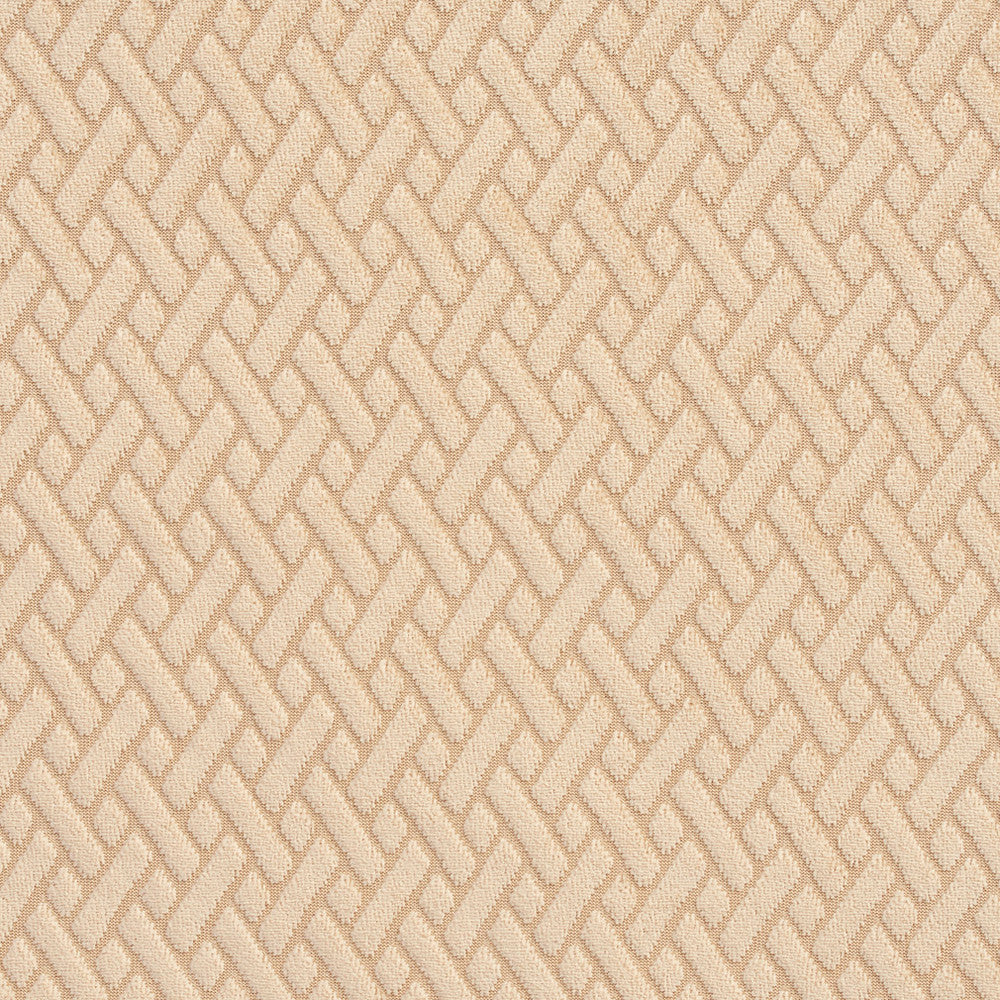 10420-10 by Charlotte Fabric Gemstones II 100% Woven Polyester Velvet Asia Exceeds 125,000 Wyzenbeek Rubs (Heavy Duty) Horizontal: .75" x Vertical: 1" 54 Inches - Fabric Carolina -