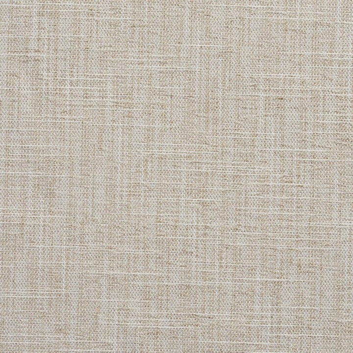 10430-03 by Charlotte Designer Fabric Modern Textures 100% Woven Polyester Asia Exceeds 90,000 Wyzenbeek Rubs (Heavy Duty) No Repeat 54 Inches - Swanky Fabrics -