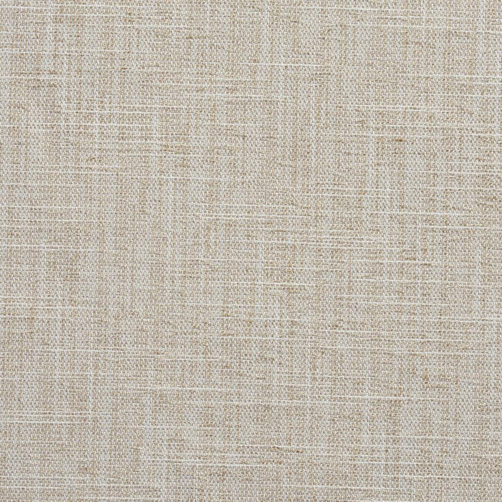10430-03 by Charlotte Fabric Modern Textures 100% Woven Polyester Asia Exceeds 90,000 Wyzenbeek Rubs (Heavy Duty) </p><p>Repeat: 54 Inches - Fabric Carolina -