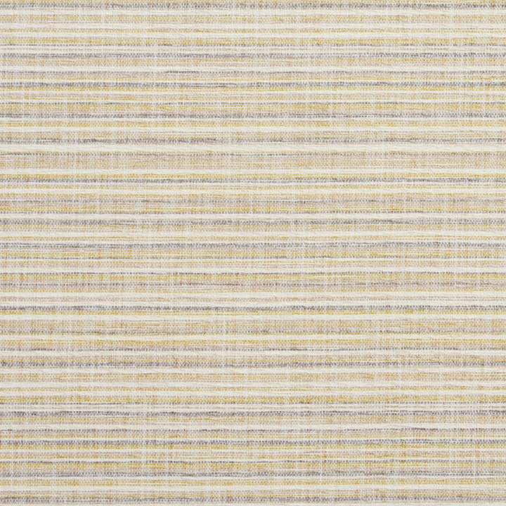 10460-01 by Charlotte Fabric Modern Textures 100% Woven Polyester Asia Exceeds 120,000 Wyzenbeek Rubs (Heavy Duty) </p><p>Repeat: Vertical: 9" 54 Inches - Fabric Carolina -