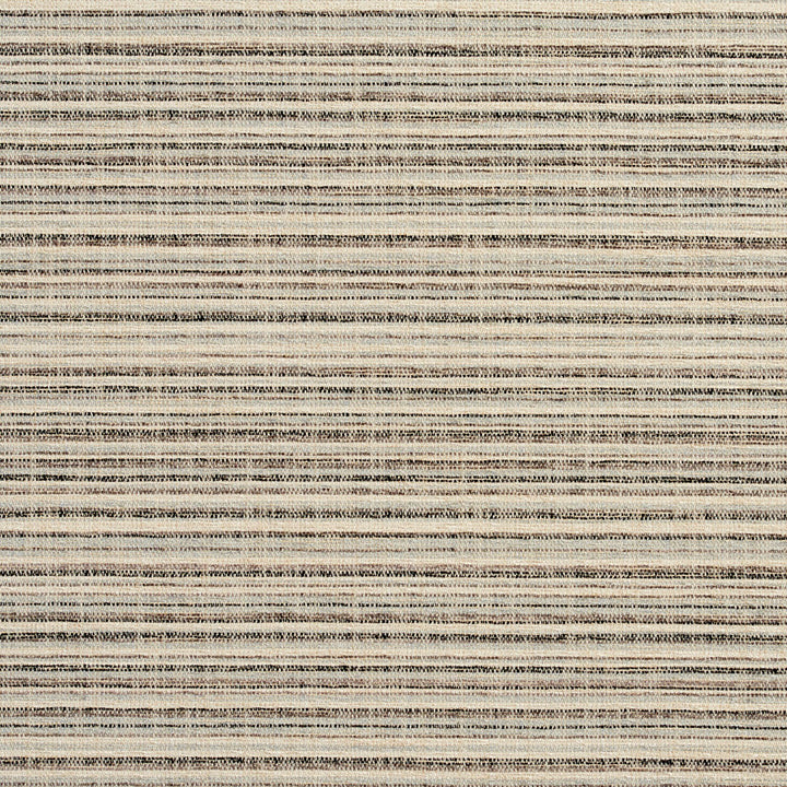10460-06 by Charlotte Fabric Modern Textures 100% Woven Polyester Asia Exceeds 120,000 Wyzenbeek Rubs (Heavy Duty) Vertical: 9" 54 Inches - Fabric Carolina -