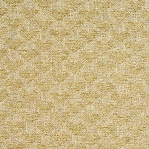 10470-01 by Charlotte Fabric