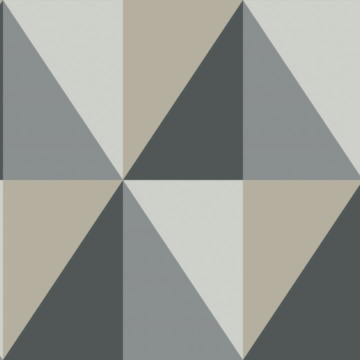 Apex Grand Grey And Black by Cole & Son Wallcovering