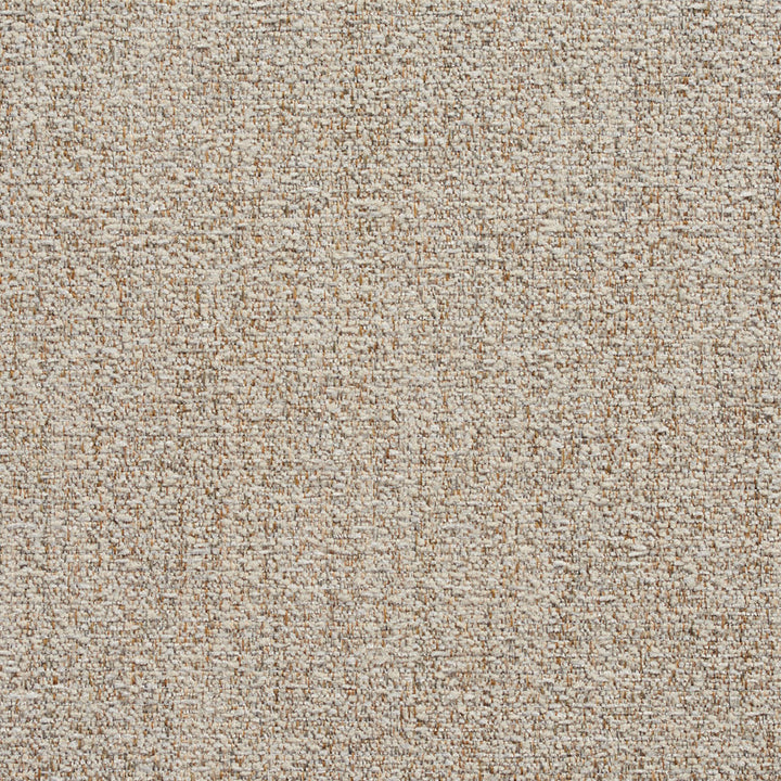 10510-04 by Charlotte Fabric Vogue II 100% Woven Polyester Taiwan Exceeds 200,000 Wyzenbeek Rubs (Heavy Duty) No Repeat 54 Inches - Fabric Carolina -