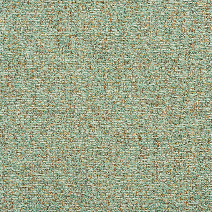 10510-05 by Charlotte Fabric Vogue II 100% Woven Polyester Taiwan Exceeds 200,000 Wyzenbeek Rubs (Heavy Duty) No Repeat 54 Inches - Fabric Carolina -