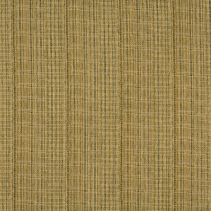 1051 Meadow by Charlotte Fabric Ring Book Page #33A 100% Woven Polyester Asia Exceeds 50,000 Wyzenbeek Rubs (Heavy Duty) No Repeat 54 Inches - Fabric Carolina -