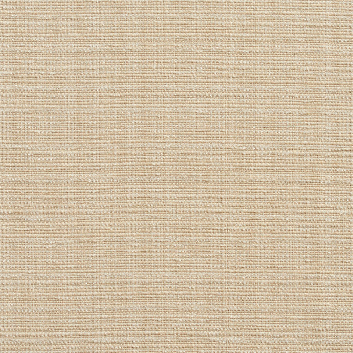 10520-01 by Charlotte Fabric Vogue II 100% Woven Polyester Taiwan Exceeds 125,000 Wyzenbeek Rubs (Heavy Duty) No Repeat 54 Inches - Fabric Carolina -
