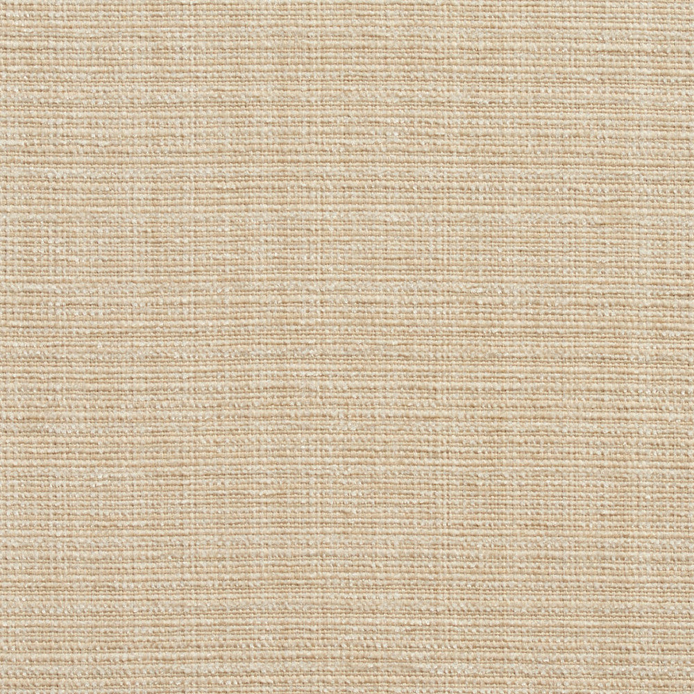 10520-01 by Charlotte Fabric Vogue II 100% Woven Polyester Taiwan Exceeds 125,000 Wyzenbeek Rubs (Heavy Duty) No Repeat 54 Inches - Fabric Carolina -