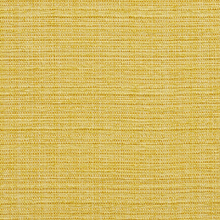 10520-05 by Charlotte Fabric Vogue II 100% Woven Polyester Taiwan Exceeds 125,000 Wyzenbeek Rubs (Heavy Duty) No Repeat 54 Inches - Fabric Carolina -