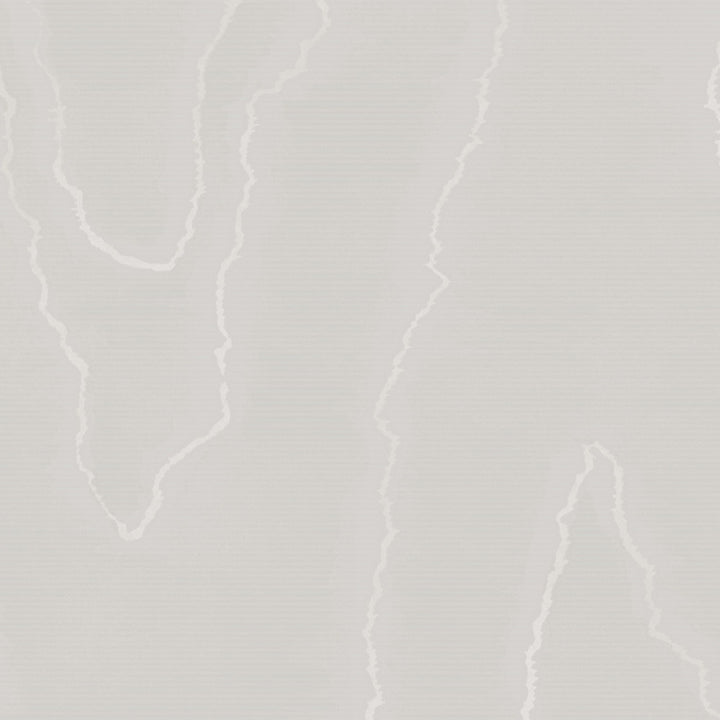 Watered Silk Grey by Cole & Son Wallcovering