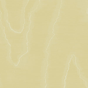 Watered Silk Lemon by Cole & Son Wallcovering
