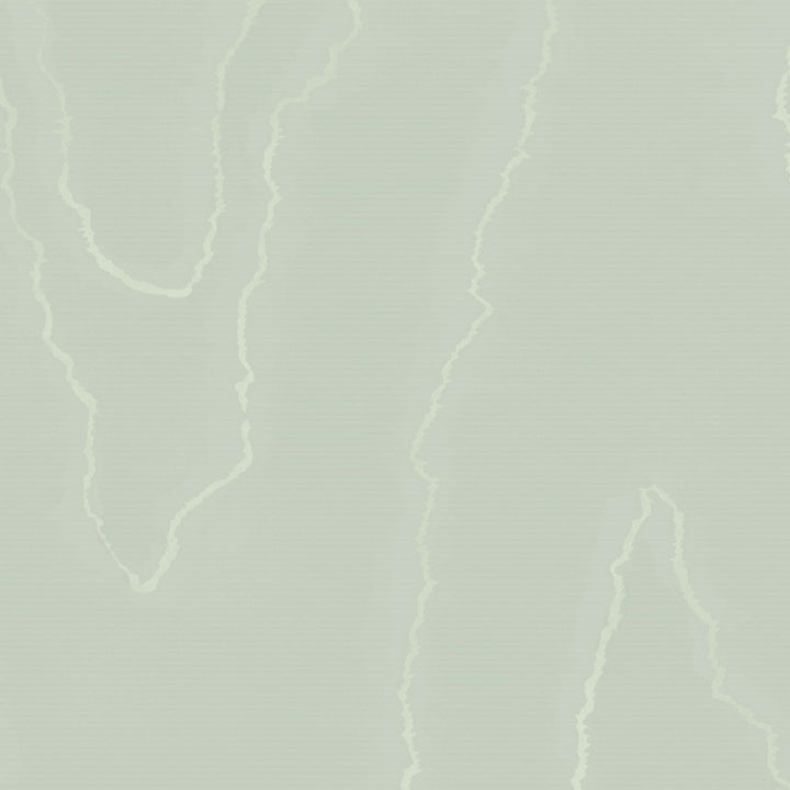 Watered Silk Duck Egg by Cole & Son Wallcovering