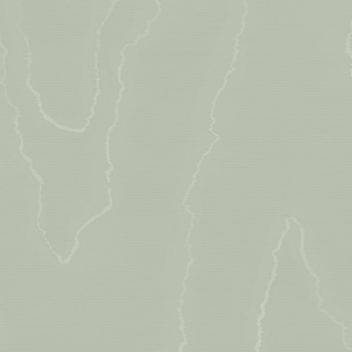 Watered Silk Sage by Cole & Son Wallcovering