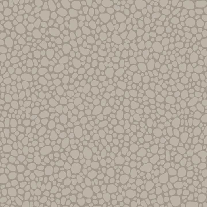 Pebble Mushroom by Cole & Son Wallcovering