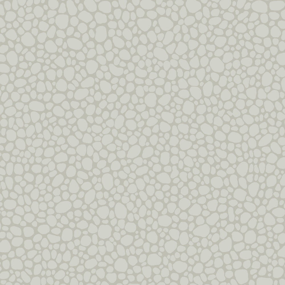 Pebble Pale Grey by Cole & Son Wallcovering