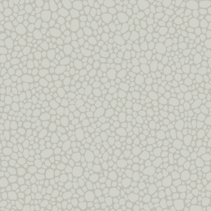 Pebble Pale Grey by Cole & Son Wallcovering