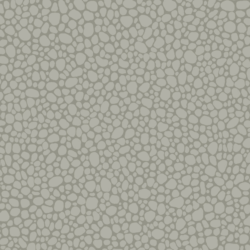 Pebble Grey by Cole & Son Wallcovering