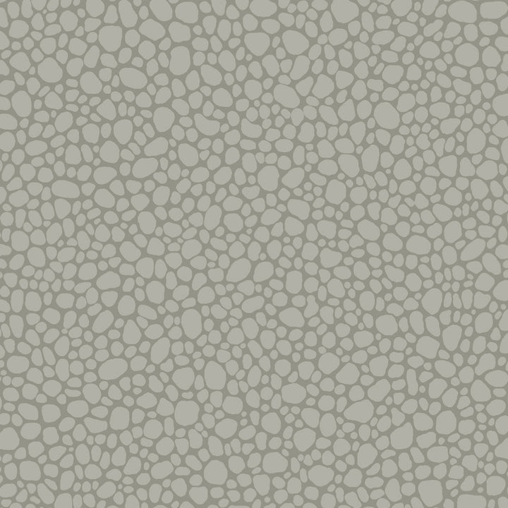 Pebble Grey by Cole & Son Wallcovering