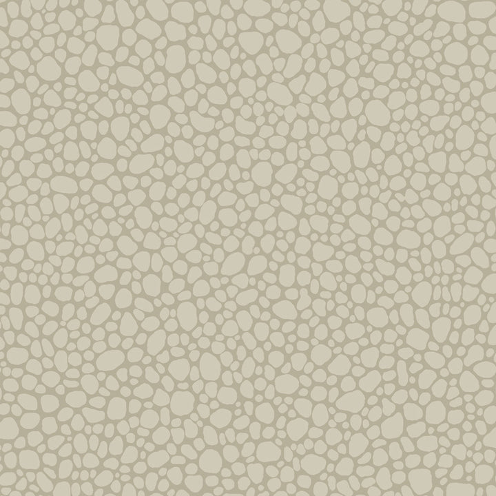 Pebble Linen by Cole & Son Wallcovering