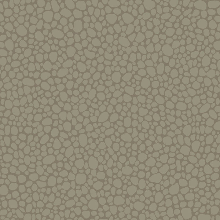 Pebble Dark Linen by Cole & Son Wallcovering