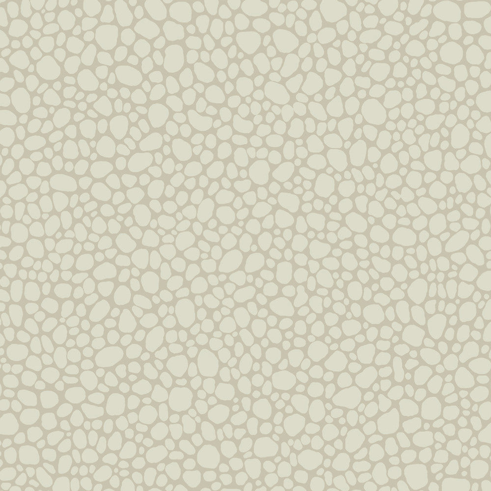 Pebble Stone by Cole & Son Wallcovering