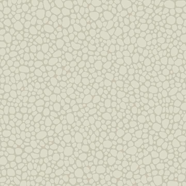 Pebble Stone by Cole & Son Wallcovering