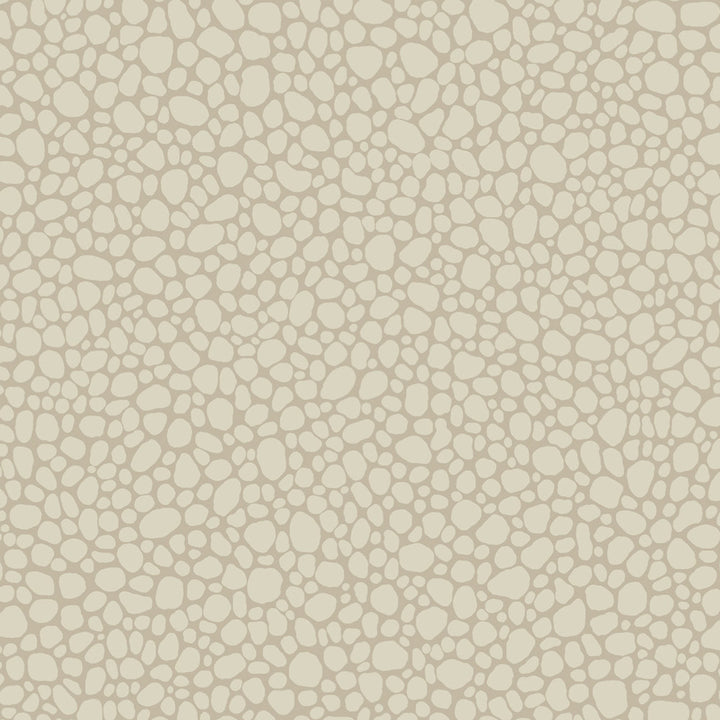 Pebble Parchment by Cole & Son Wallcovering