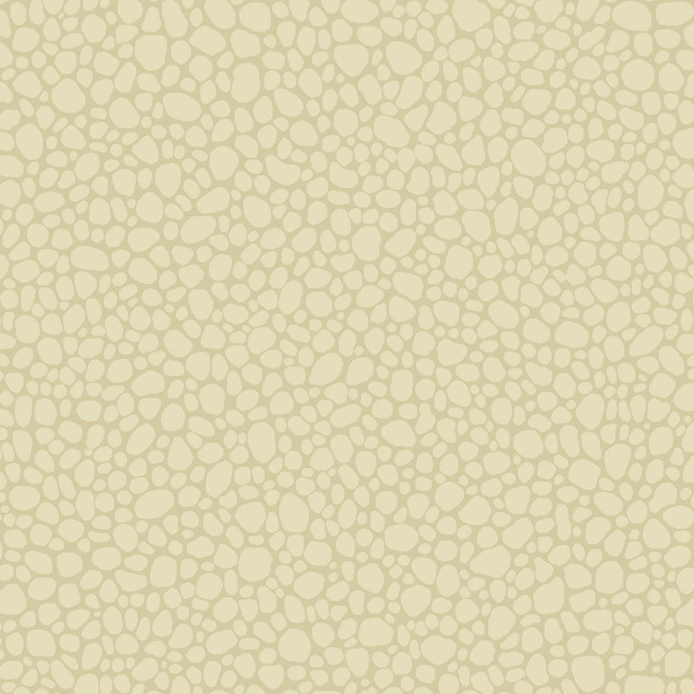 Pebble Cream by Cole & Son Wallcovering