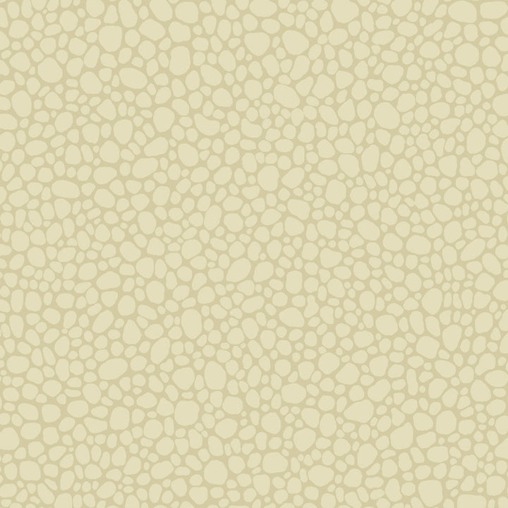 Pebble Cream by Cole & Son Wallcovering