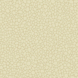 Pebble Cream by Cole & Son Wallcovering