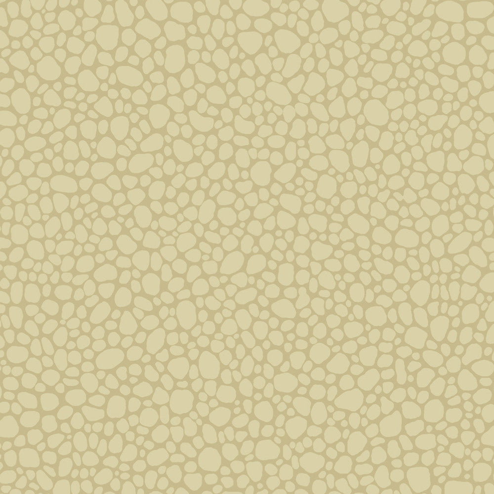 Pebble Latte by Cole & Son Wallcovering