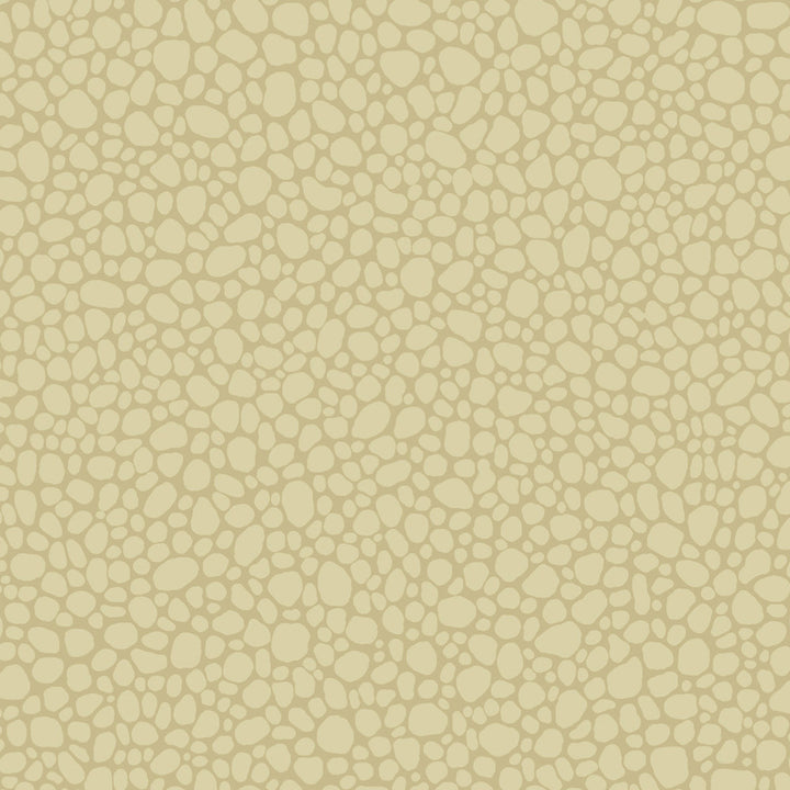 Pebble Latte by Cole & Son Wallcovering