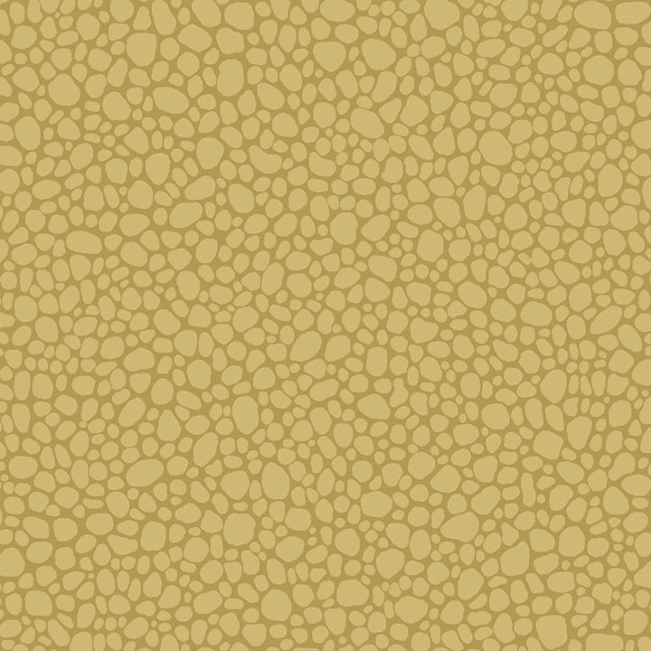 Pebble Sand by Cole & Son Wallcovering