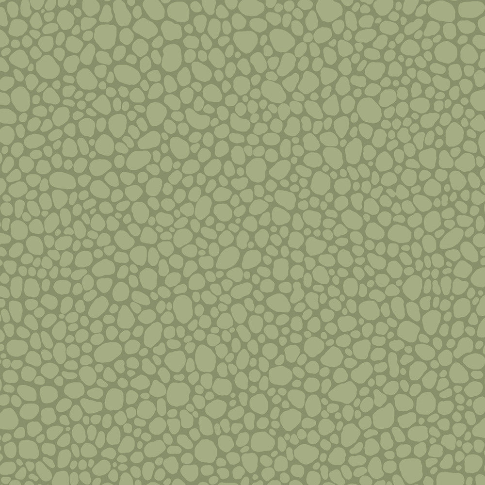 Pebble Dark Olive by Cole & Son Wallcovering