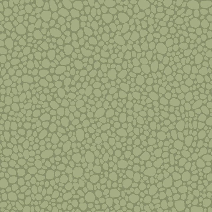 Pebble Dark Olive by Cole & Son Wallcovering