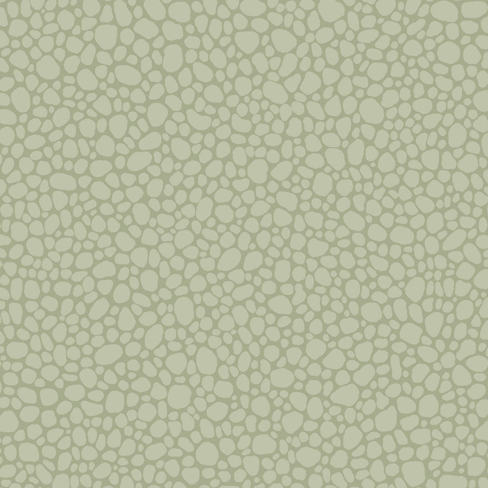 Pebble Sage by Cole & Son Wallcovering