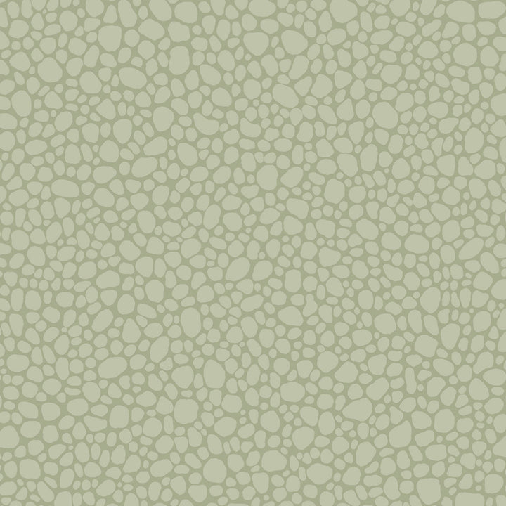 Pebble Sage by Cole & Son Wallcovering