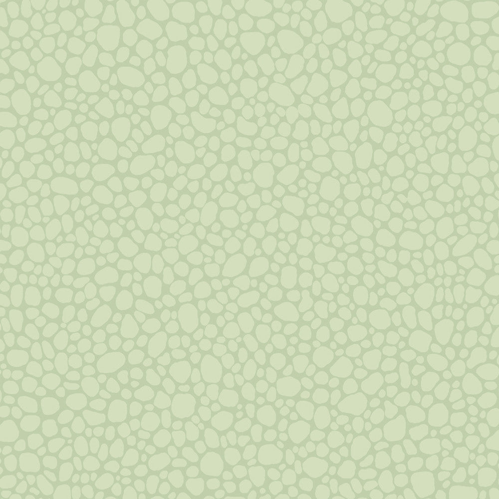 Pebble Duck Egg by Cole & Son Wallcovering