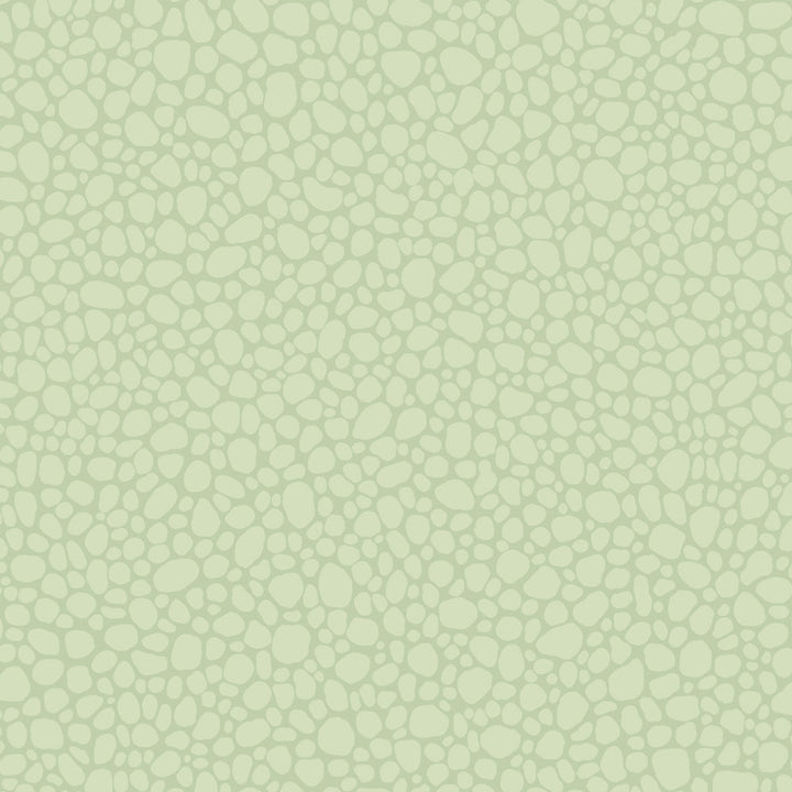Pebble Duck Egg by Cole & Son Wallcovering