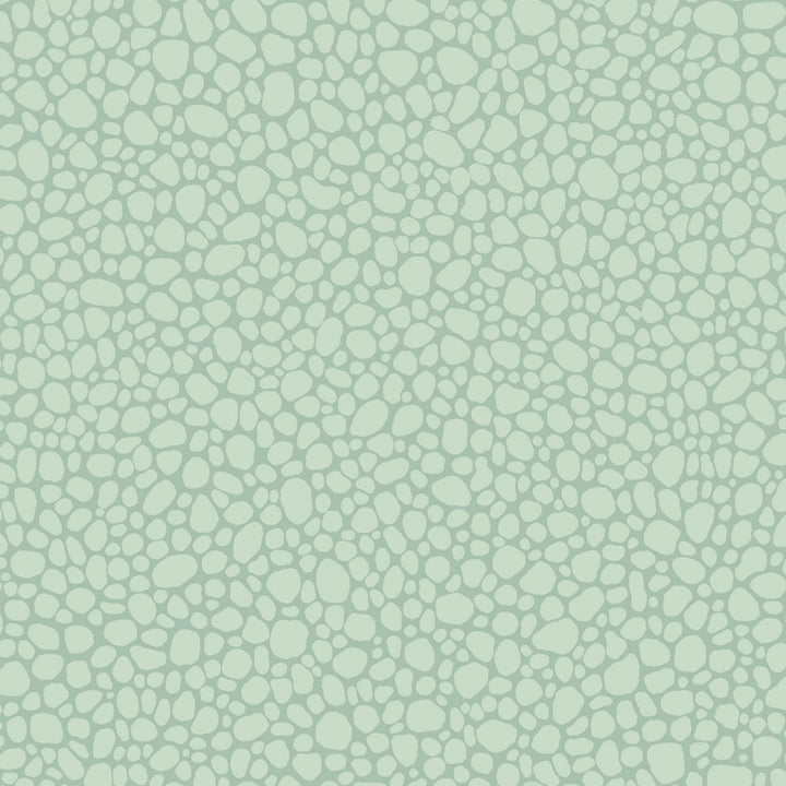 Pebble Print Room Blue by Cole & Son Wallcovering