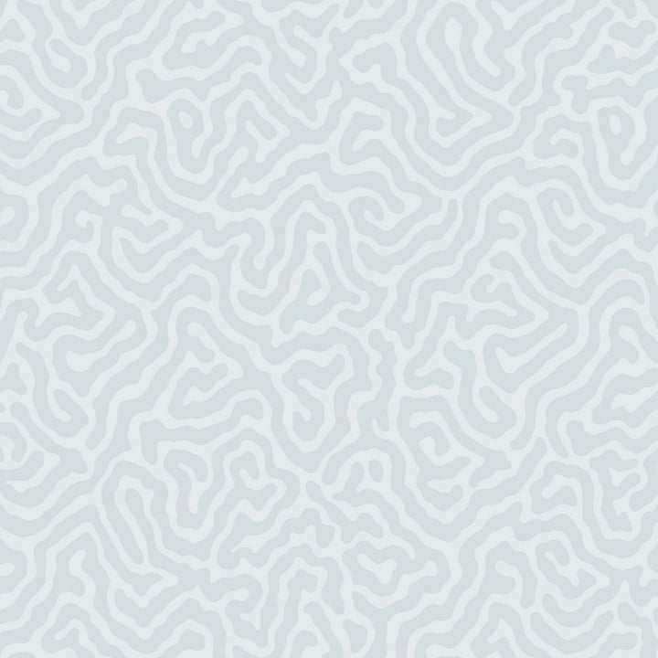 Coral Powder Blue by Cole & Son Wallcovering