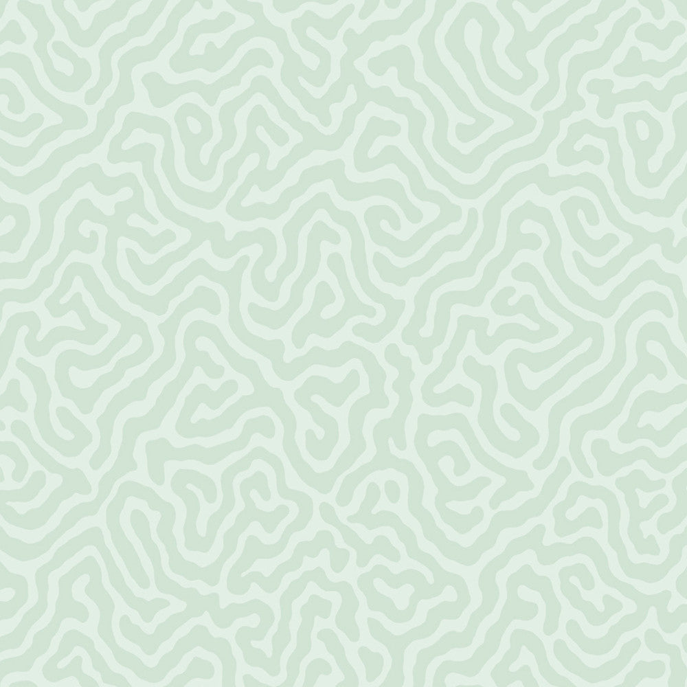 Coral Duck Egg by Cole & Son Wallcovering