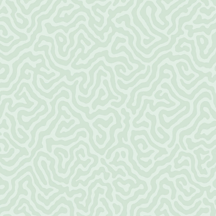 Coral Duck Egg by Cole & Son Wallcovering