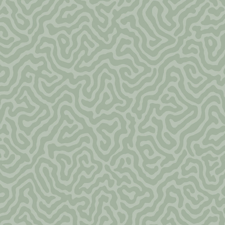 Coral Sage by Cole & Son Wallcovering