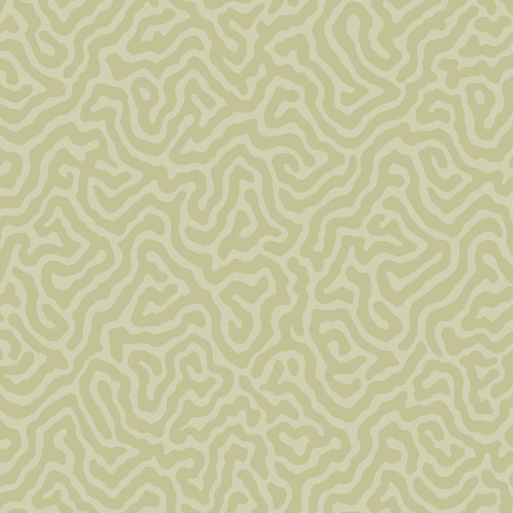 Coral Old Olive by Cole & Son Wallcovering