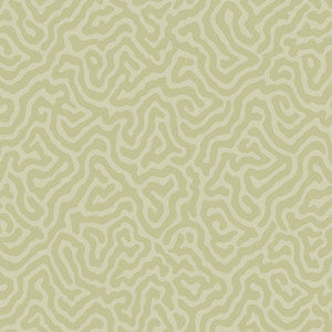 Coral Old Olive by Cole & Son Wallcovering