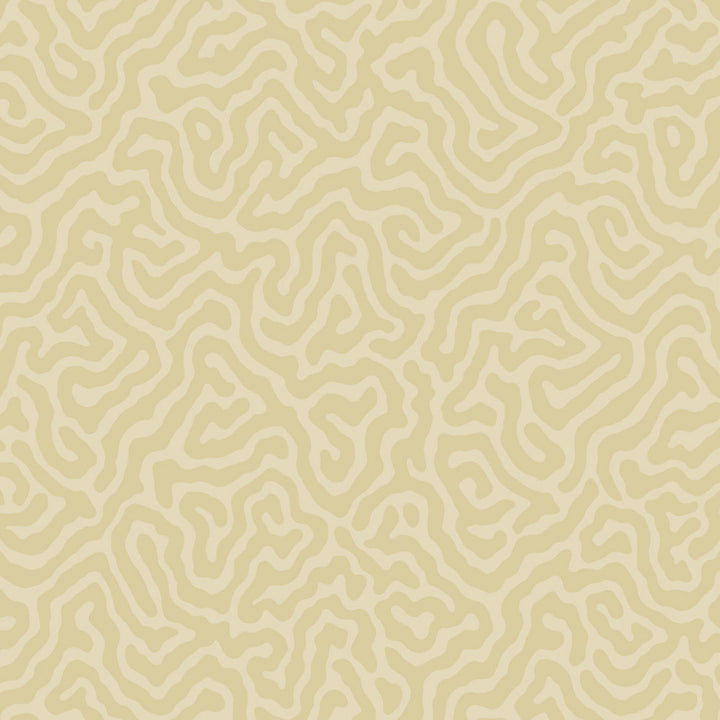 Coral Cream by Cole & Son Wallcovering
