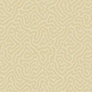 Coral Cream by Cole & Son Wallcovering